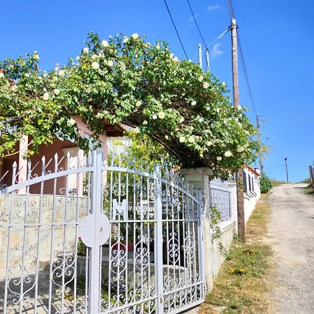 Nyaraló Kali Sunnyside Up *