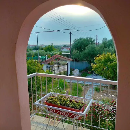 Kali Sunnyside Up * Nea Kallikrateia