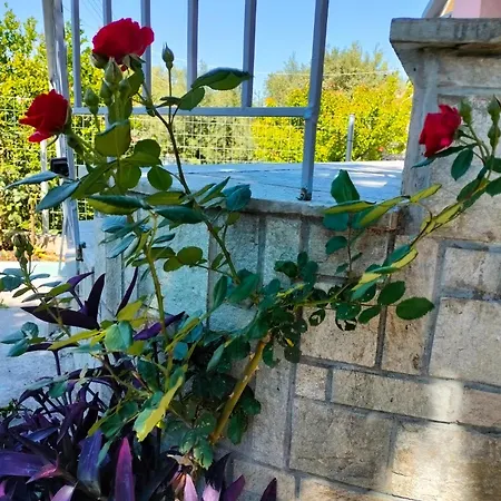 Kali Sunnyside Up بيت للعطل Nea Kallikrateia