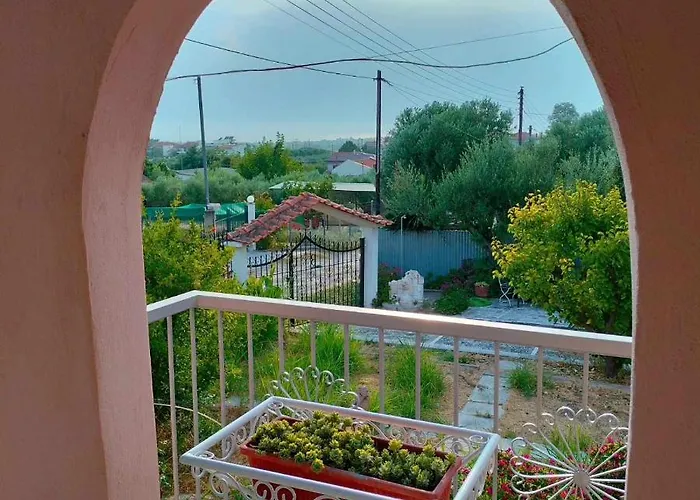 Kali Sunnyside Up * Nea Kallikrateia