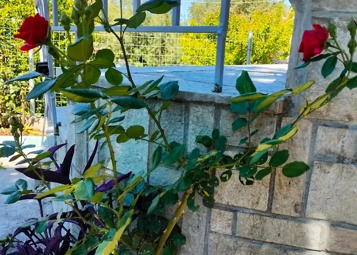 Kali Sunnyside Up Holiday home Nea Kallikrateia